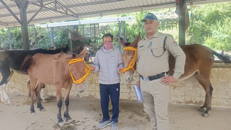 सोनप्रयाग पुलिस ने चोरी के दो खच्चर किए बरामद, एक गिरफ्तार