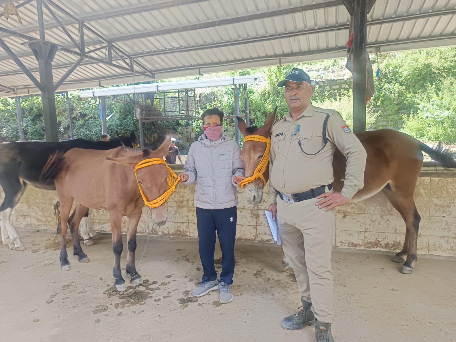 सोनप्रयाग पुलिस ने चोरी के दो खच्चर किए बरामद, एक गिरफ्तार
